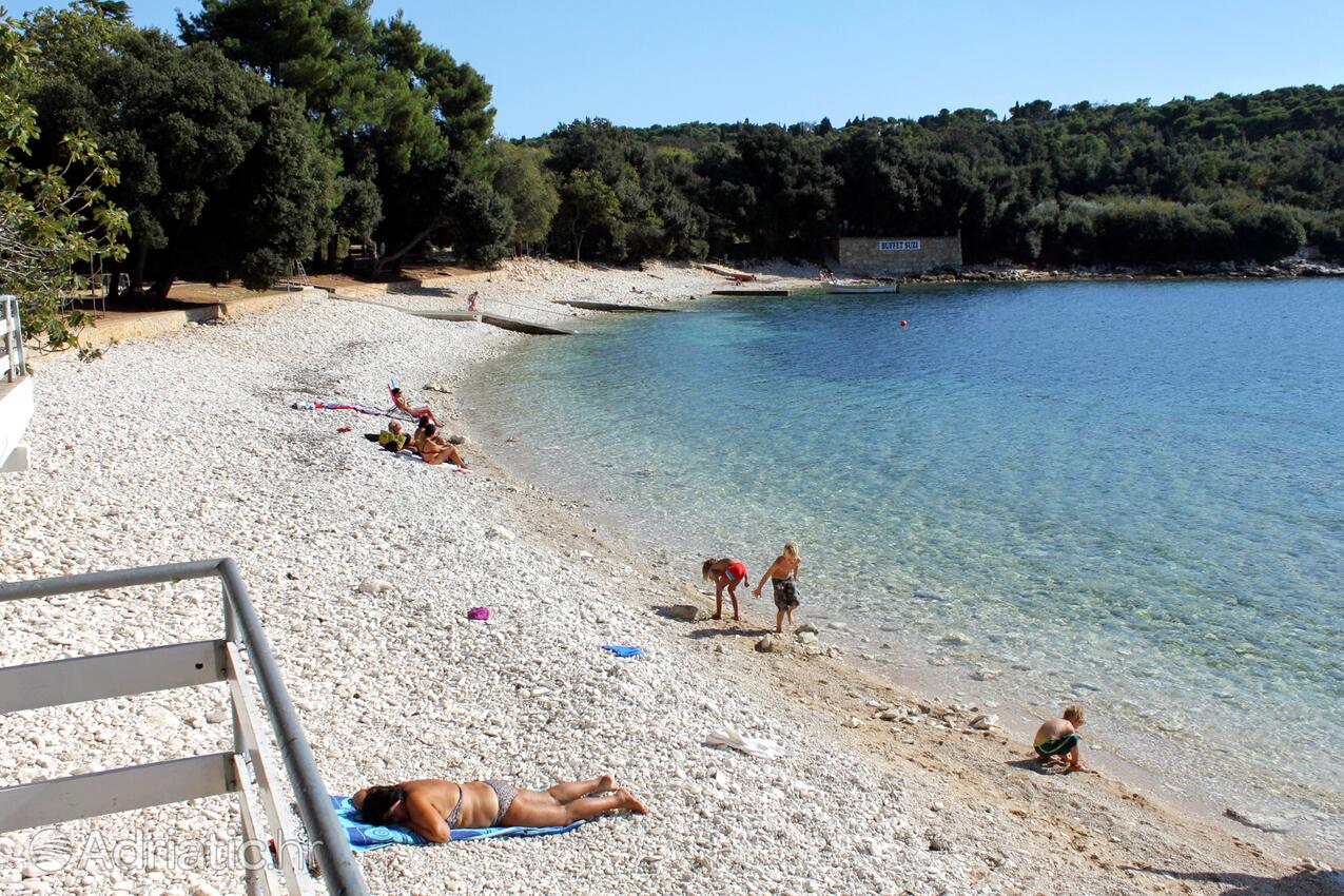 Adriatic.hr