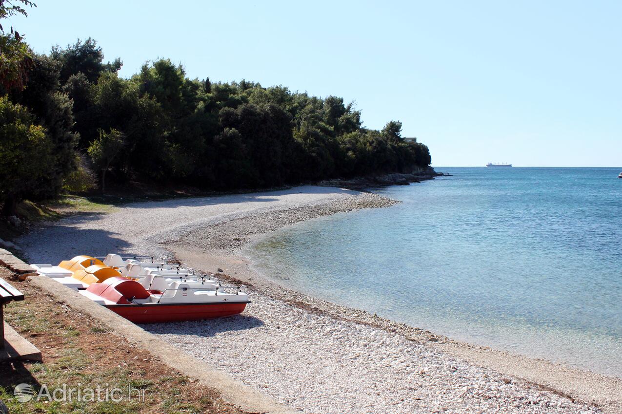 Adriatic.hr