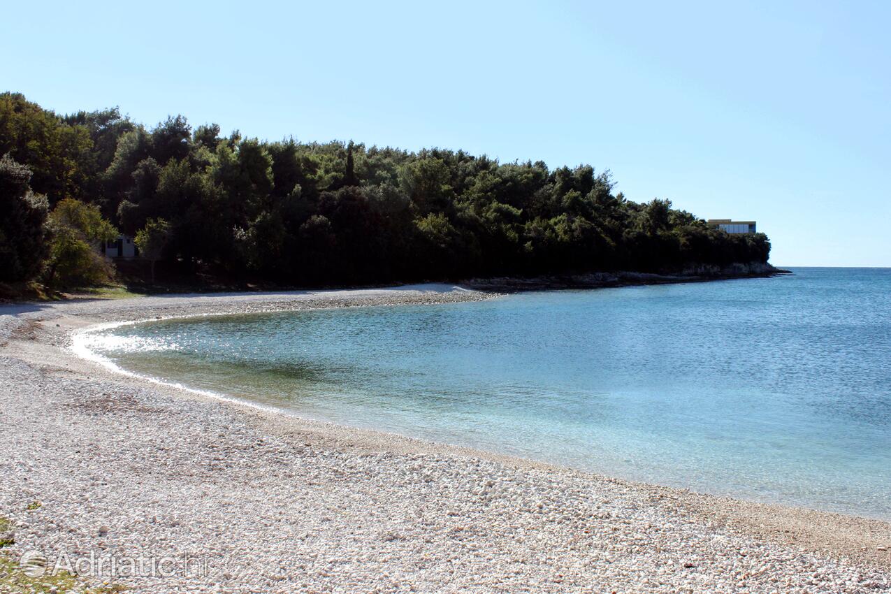 Adriatic.hr