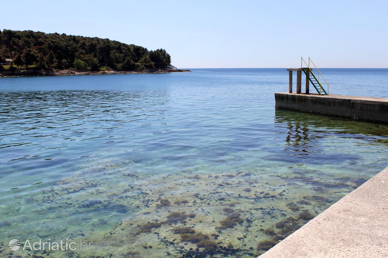 Adriatic.hr