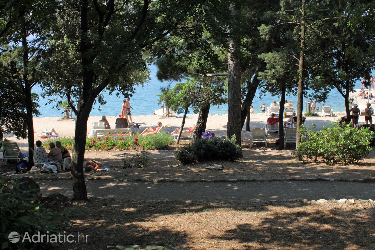 Adriatic.hr