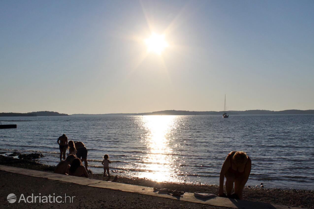 Adriatic.hr