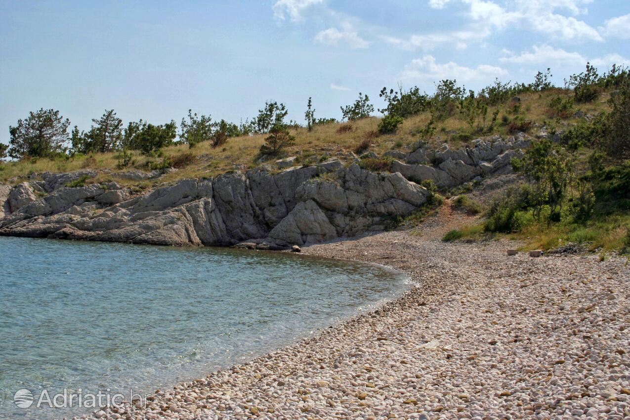 Adriatic.hr