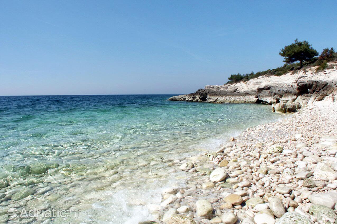 Adriatic.hr