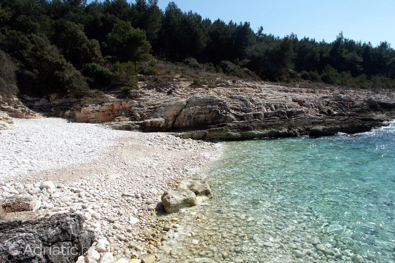 Adriatic.hr