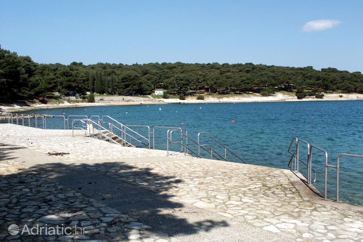 Nearest beach - Apartments with a parking space Premantura, Medulin