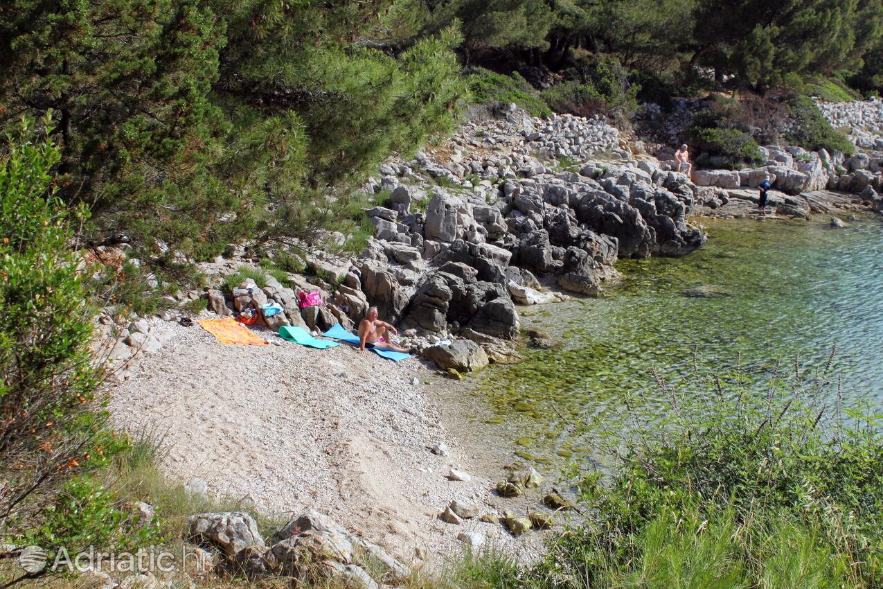 Nearest beach - Apartments with a parking space Mali Lošinj, Lošinj