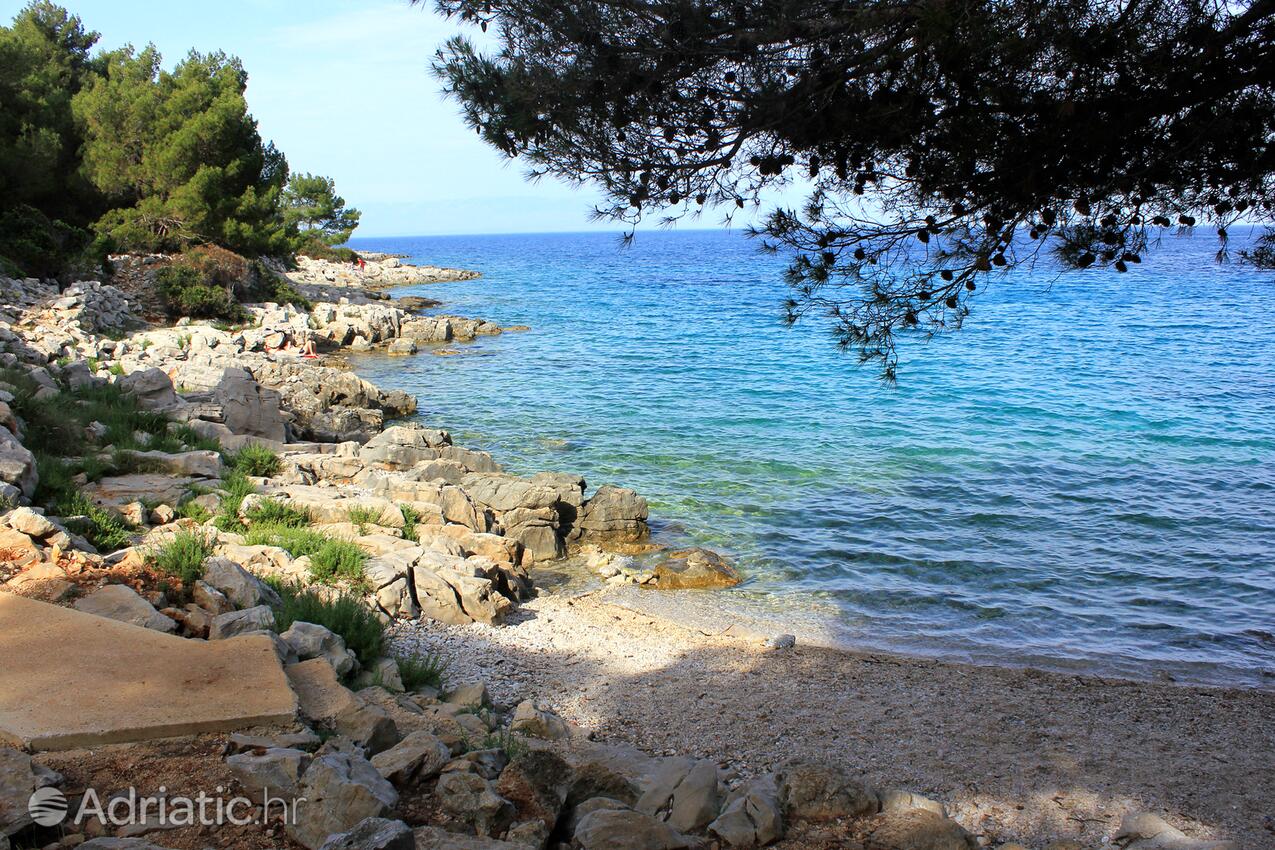 Nearest beach - Apartments with a parking space Mali Lošinj, Lošinj