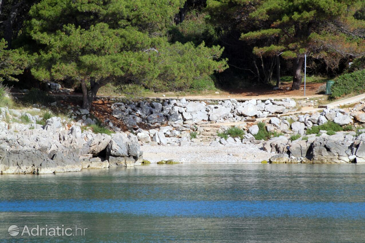 Nearest beach - Apartments with a parking space Mali Lošinj, Lošinj
