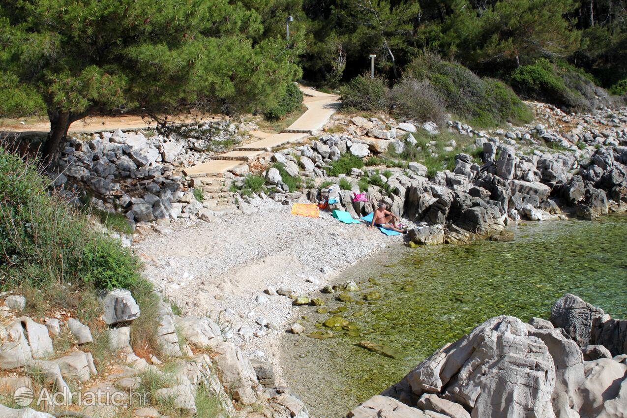Nearest beach - Apartments with a parking space Mali Lošinj, Lošinj