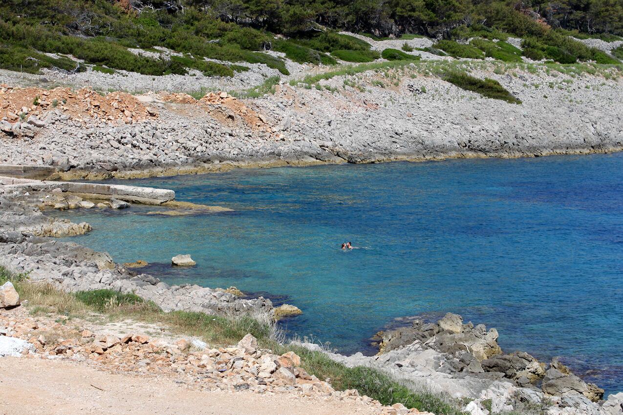 La spiaggia più vicina - Appartamenti accanto al mare Lussinpiccolo - Mali Lošinj, Lussino - Lošinj