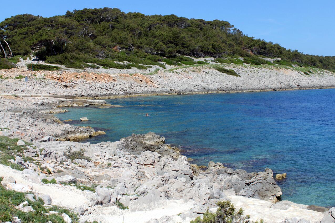 La spiaggia più vicina - Appartamenti accanto al mare Lussinpiccolo - Mali Lošinj, Lussino - Lošinj