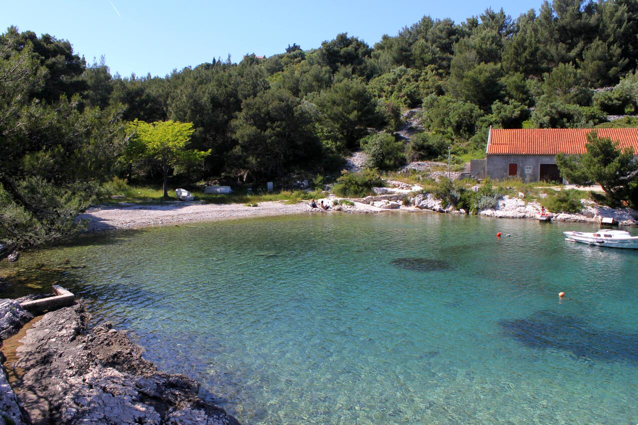 La spiaggia più vicina - Appartamenti con parcheggio Lussinpiccolo - Mali Lošinj, Lussino - Lošinj