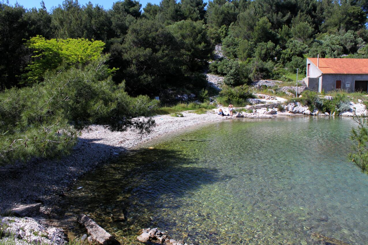 La spiaggia più vicina - Appartamenti con parcheggio Lussinpiccolo - Mali Lošinj, Lussino - Lošinj