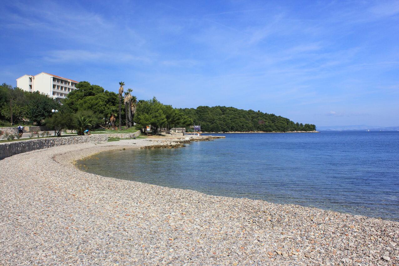 La spiaggia più vicina - Appartamenti accanto al mare Lissa - Vis