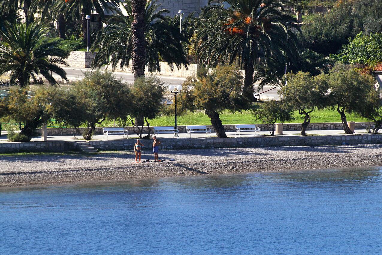 La spiaggia più vicina - Appartamenti accanto al mare Lissa - Vis