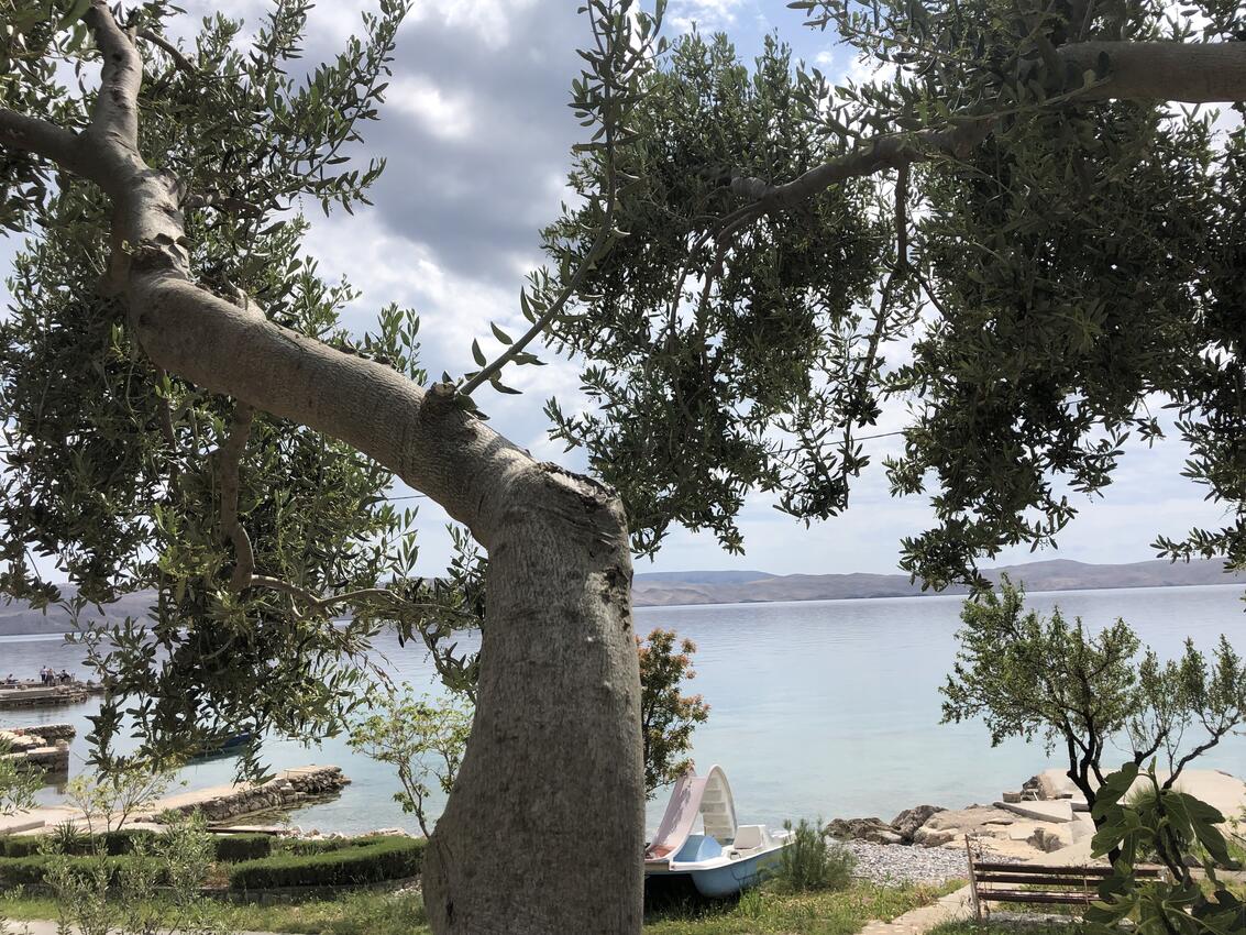 Nächster Strand - Ferienhaus mit Parkplatz Cesarica, Karlobag