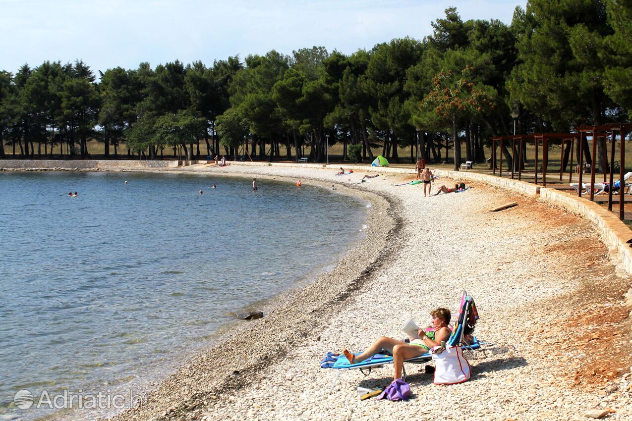 Adriatic.hr