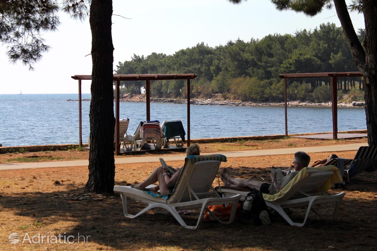 Adriatic.hr