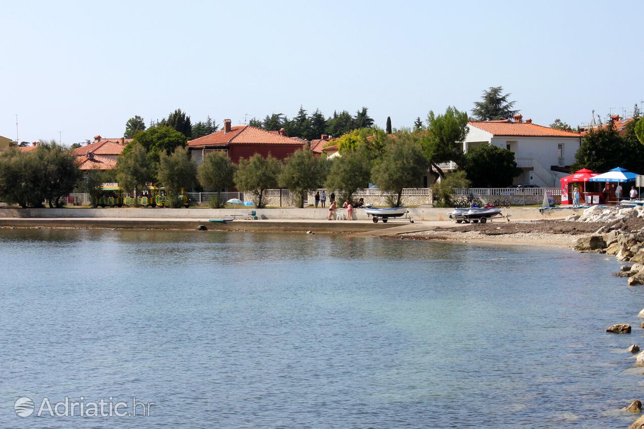La spiaggia più vicina - Appartamenti accanto al mare Novigrad