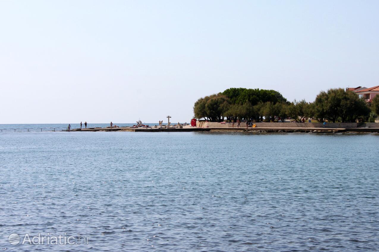 La spiaggia più vicina - Appartamenti accanto al mare Novigrad