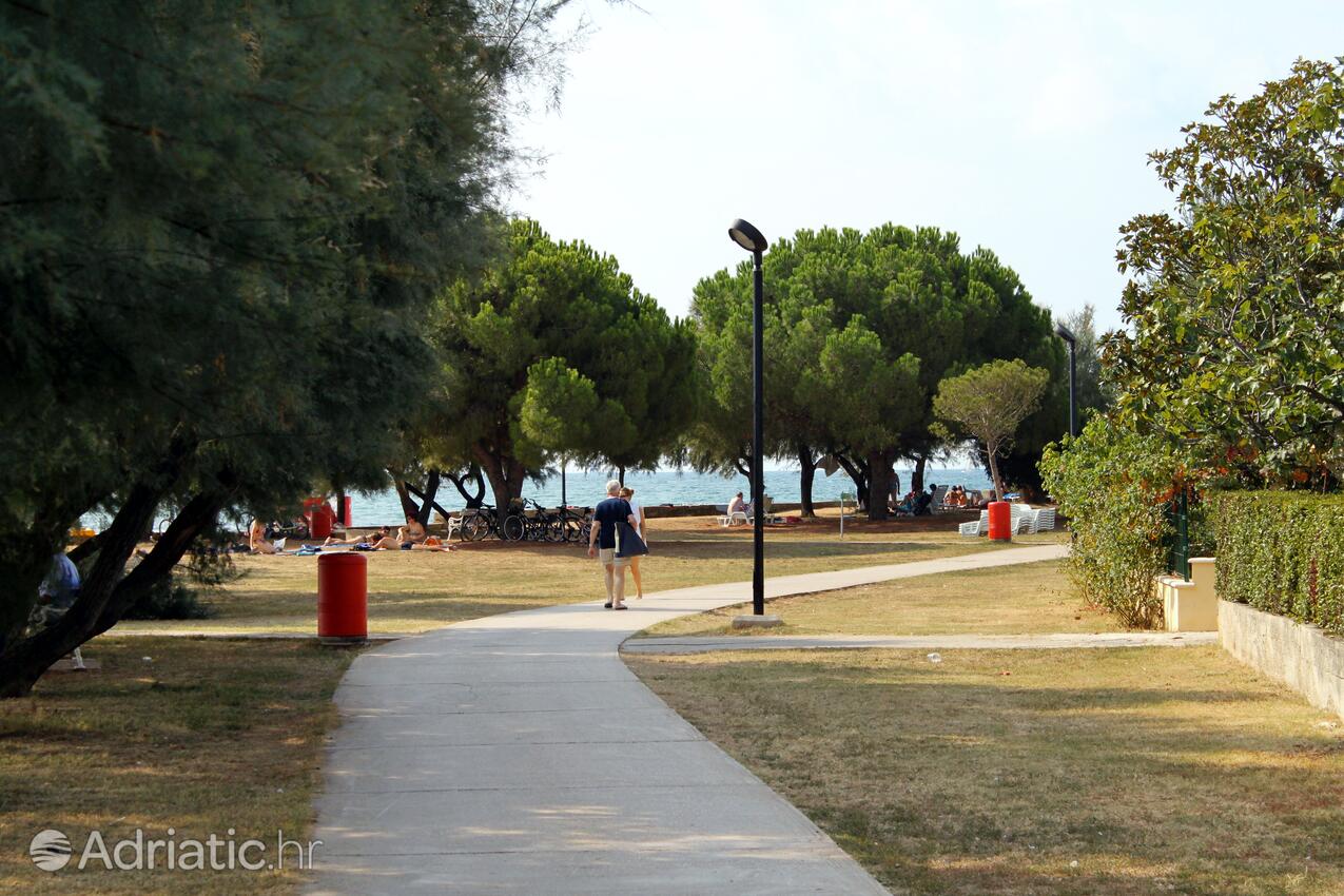 La spiaggia più vicina - Appartamenti accanto al mare Novigrad