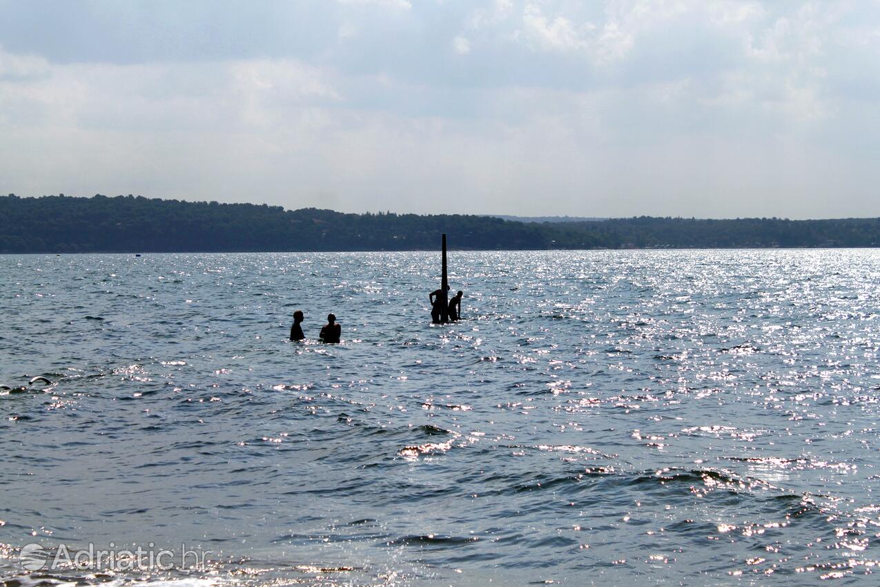 La spiaggia più vicina - Appartamenti accanto al mare Novigrad