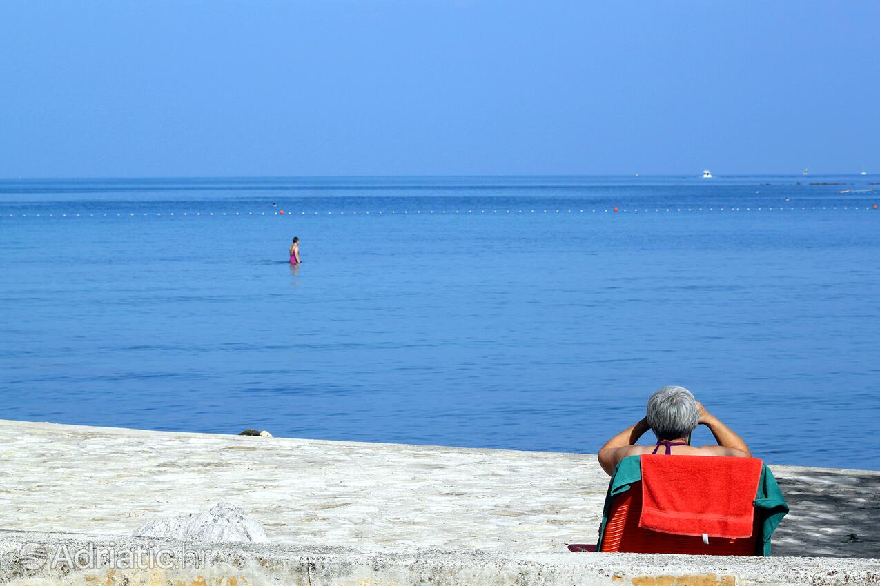 La spiaggia più vicina - Appartamenti accanto al mare Umago - Umag