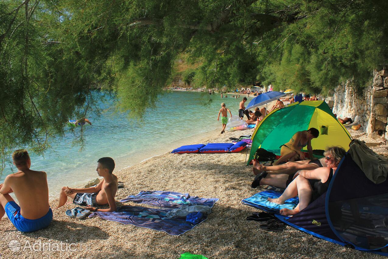 Adriatic.hr