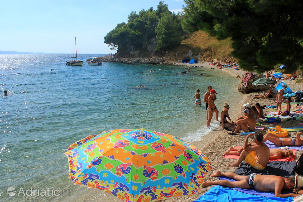 Adriatic.hr