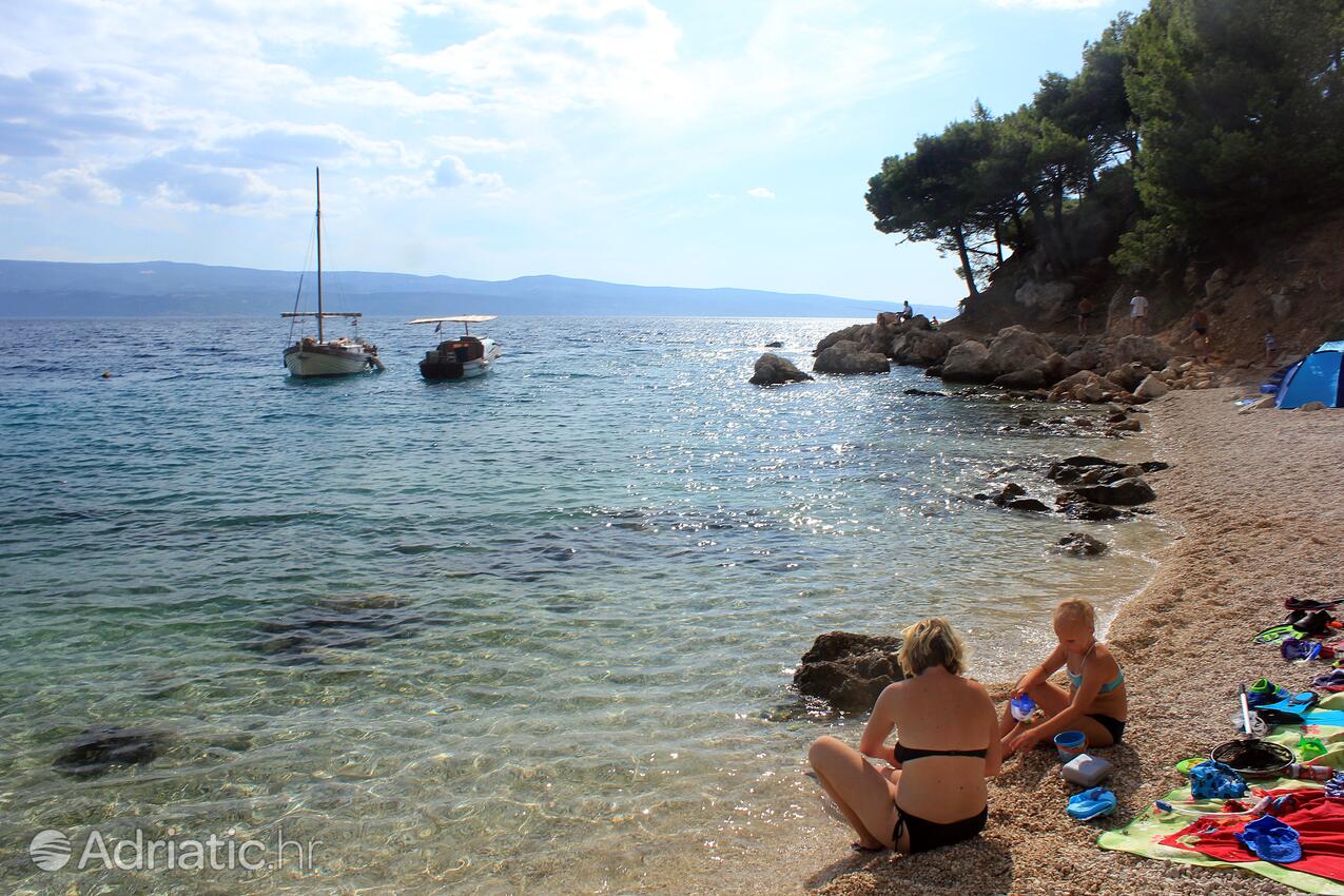 Adriatic.hr