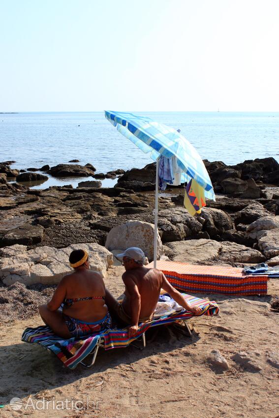 Adriatic.hr