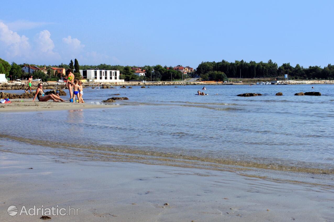 Adriatic.hr