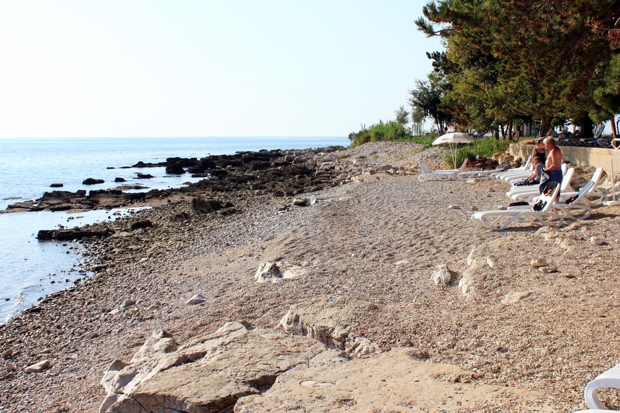 La spiaggia più vicina - Appartamenti con parcheggio Zambrattia - Zambratija, Umago - Umag