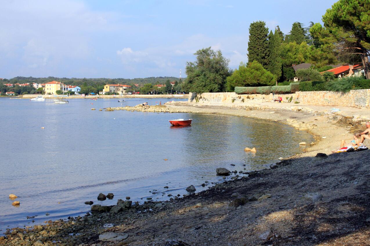 La spiaggia più vicina - Appartamenti con parcheggio Daila - Dajla, Novigrad