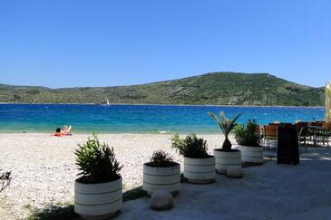 Ferienwohnungen am Meer Primosten - 17975