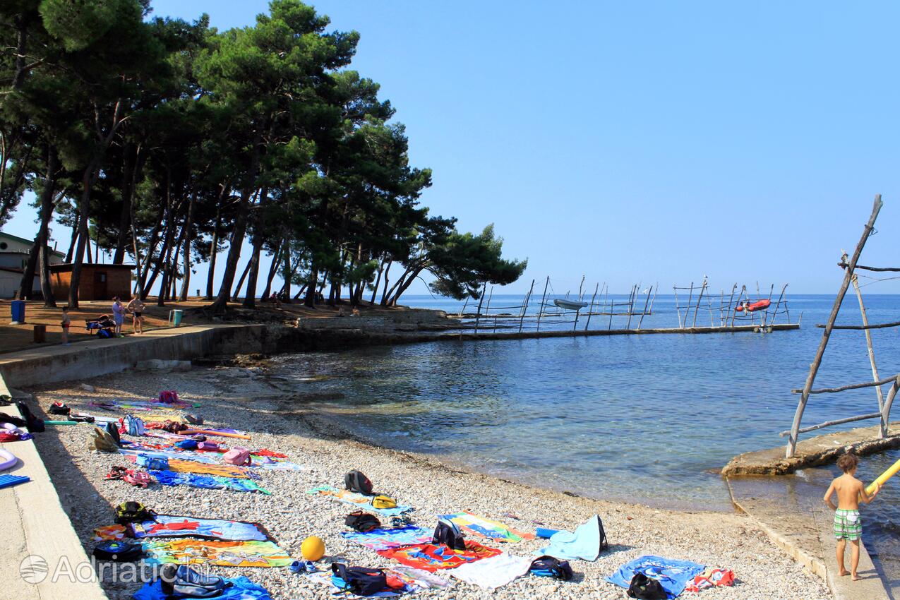 Adriatic.hr