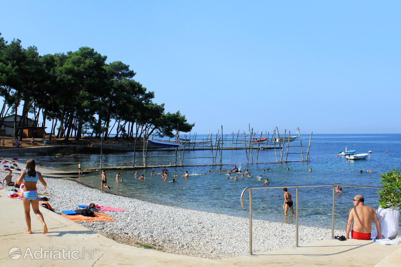 Adriatic.hr