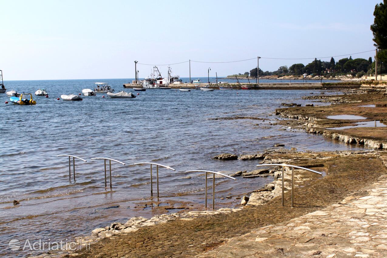 Nächster Strand - Ferienwohnungen mit Parkplatz Brtonigla, Novigrad