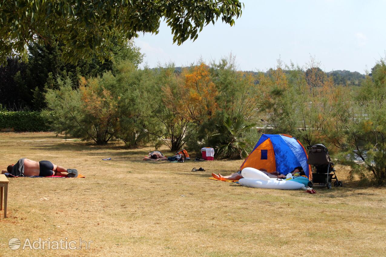 Nächster Strand - Ferienwohnungen mit Parkplatz Brtonigla, Novigrad