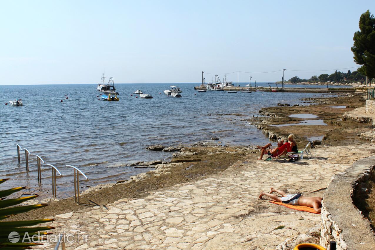 Nächster Strand - Ferienwohnungen mit Parkplatz Brtonigla, Novigrad