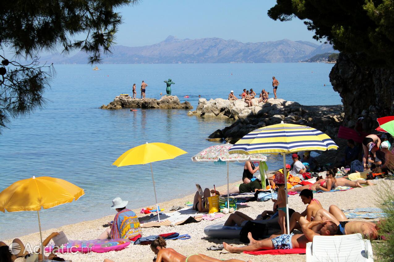 Adriatic.hr