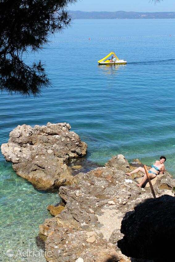 Adriatic.hr