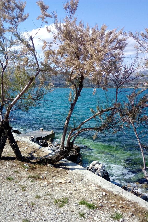 La spiaggia più vicina - Appartamenti accanto al mare Arbanija, Bua - Čiovo