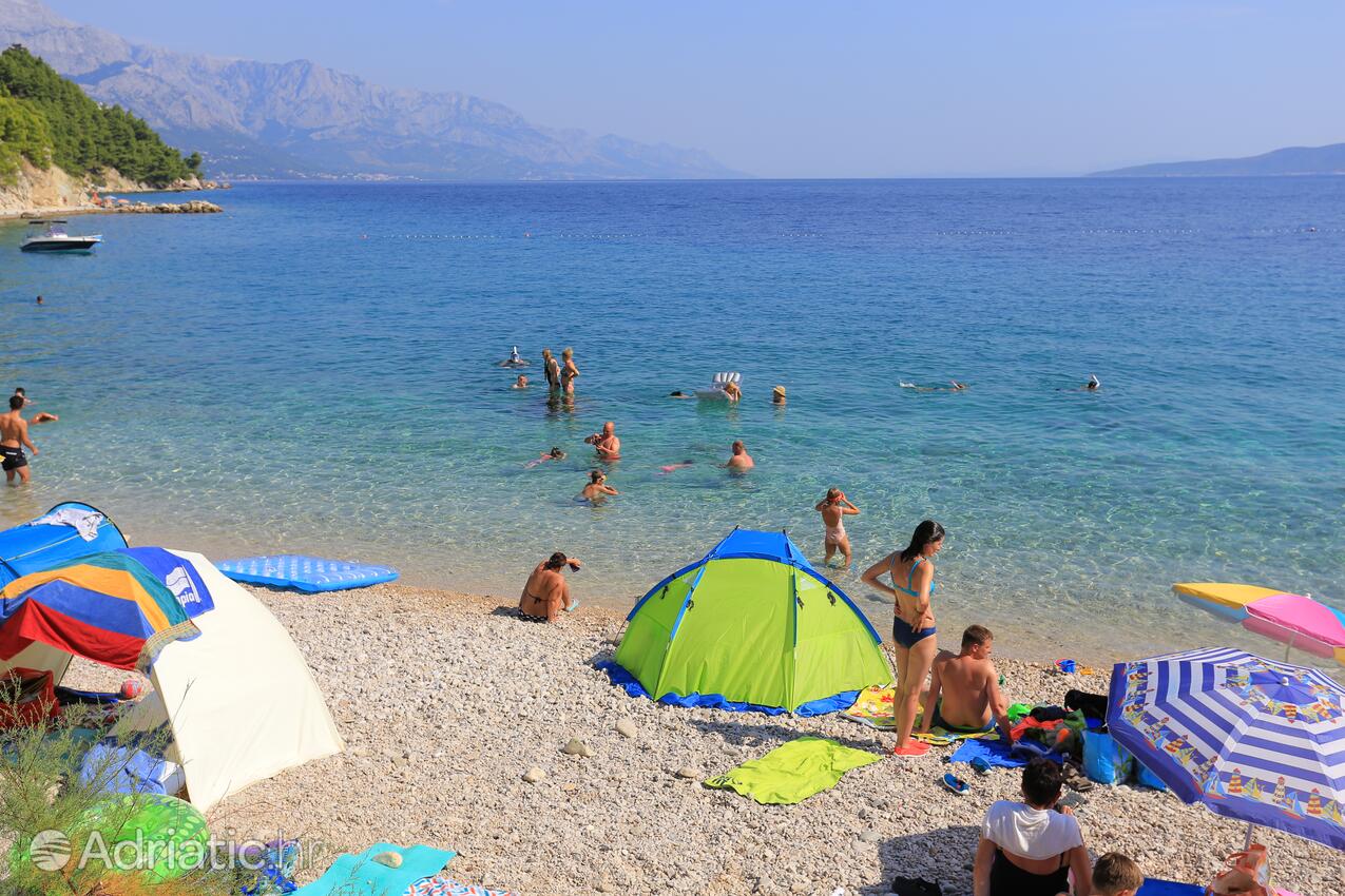 Adriatic.hr