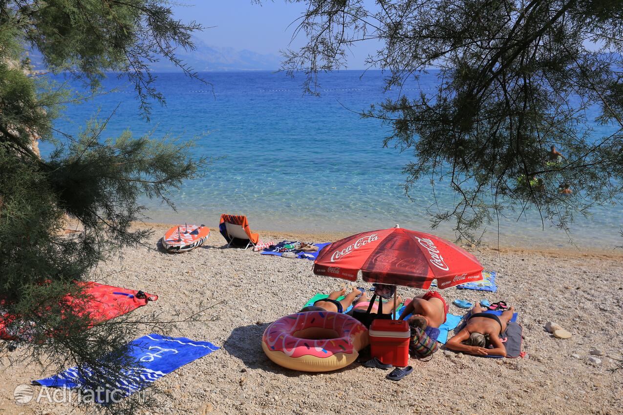 Adriatic.hr