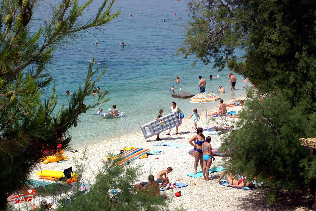 La spiaggia più vicina - Casa con piscina per famiglia Grubine, Morlacca - Zagora