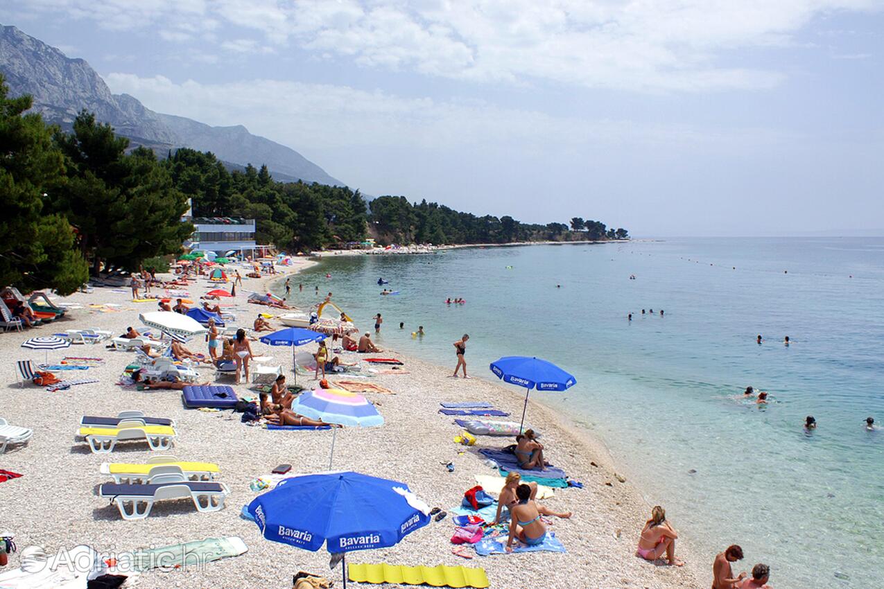 La spiaggia più vicina - Casa con piscina per famiglia Grubine, Morlacca - Zagora