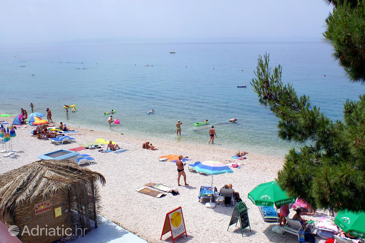 La spiaggia più vicina - Casa con piscina per famiglia Grubine, Morlacca - Zagora