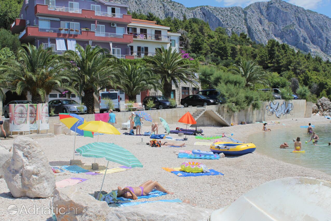 Adriatic.hr